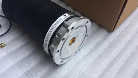 Front Air Suspension Spring Bag for Audi A6c5 OE 4z7616051d