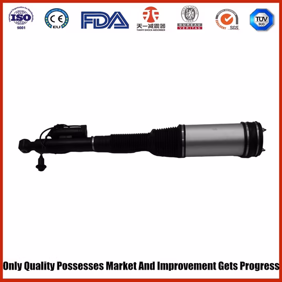 Rear Air Suspension Strut Shock for Mercedes S Class W220 S430 S500 2203205013